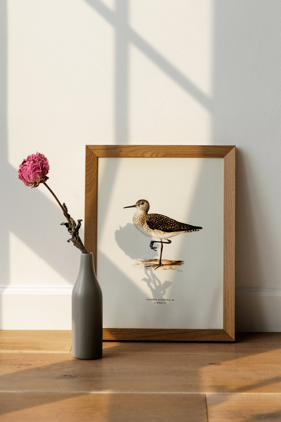 Wood Sandpiper Standing One Leg Vintage Bird Illustration Poster - Image 2
