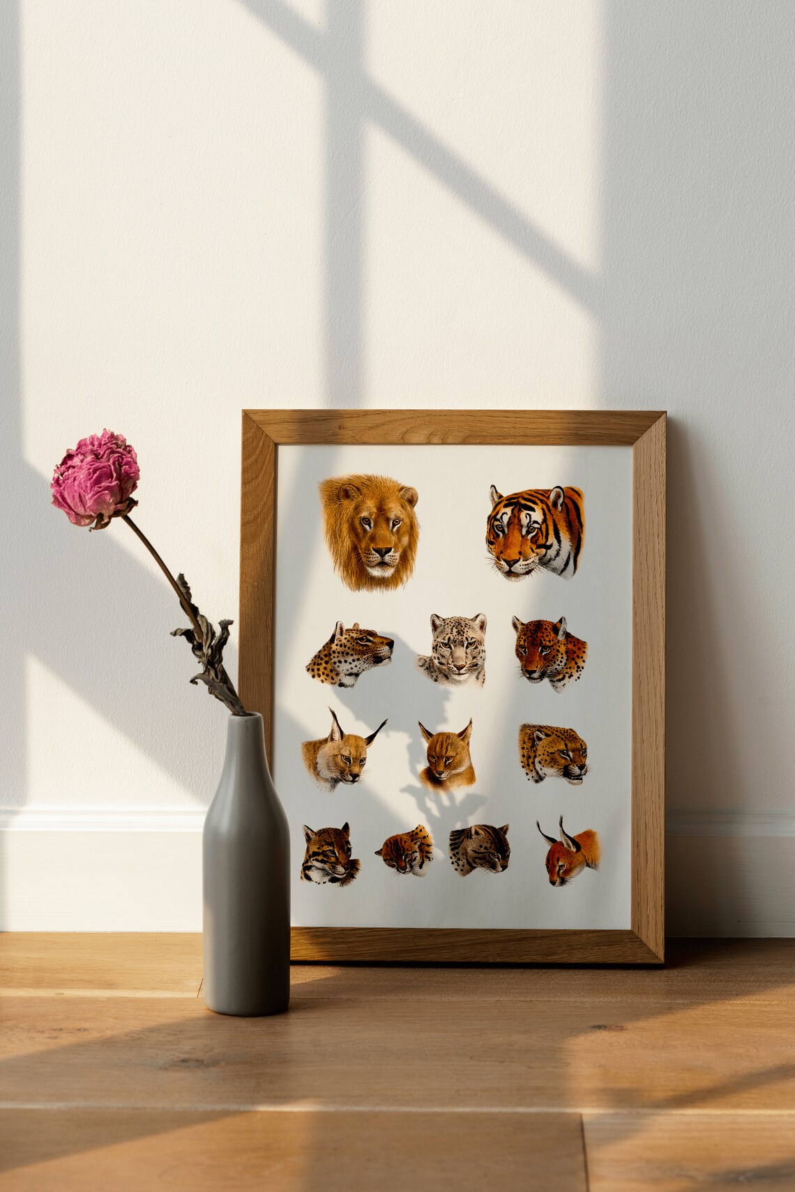 Vintage Wild Cat Heads Chart Lion Tiger Leopard Species Art Print - Image 4