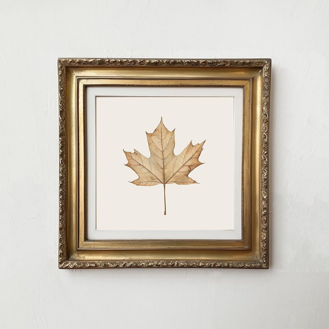 Dried Maple Leaf Vintage Botanical Pressed Fall Wall Art Print - Image 2