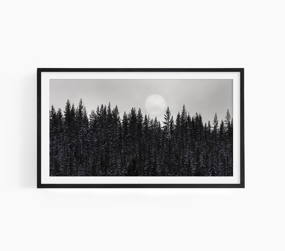 Winter Forest Full Moon Black and White Nature Photography Framed Wall Poster - Image 2