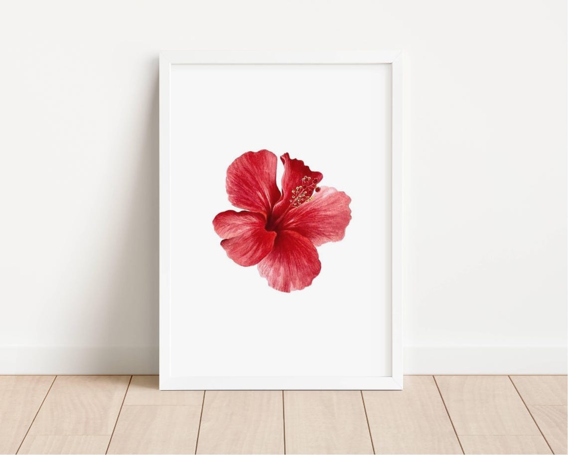 Red Hibiscus Flower Single Bloom Minimalist Botanical Art Print Poster - Image 2