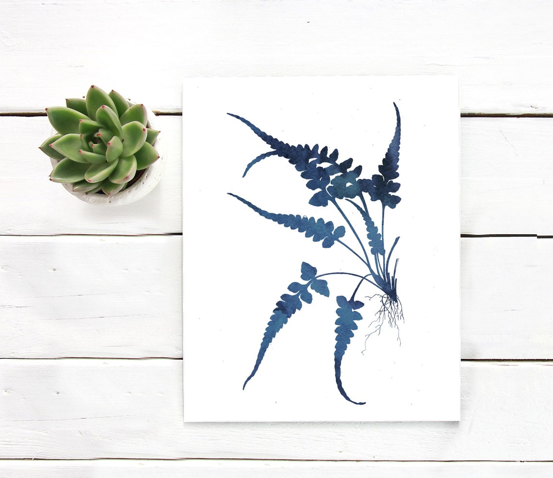 Indigo Blue Fern Spray Roots Botanical Minimalist Watercolor Poster