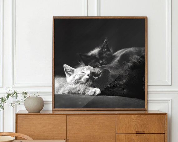 Cozy Black And White Dog Cuddling Sleeping Kittens Tender Pet Photo Poster