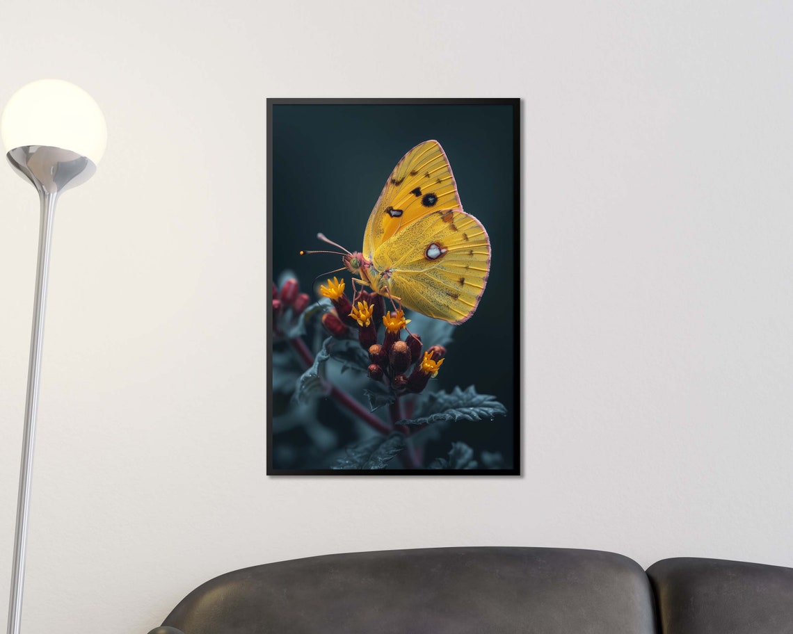 Golden Yellow Butterfly On Flowers Dark Background Macro Nature Poster
