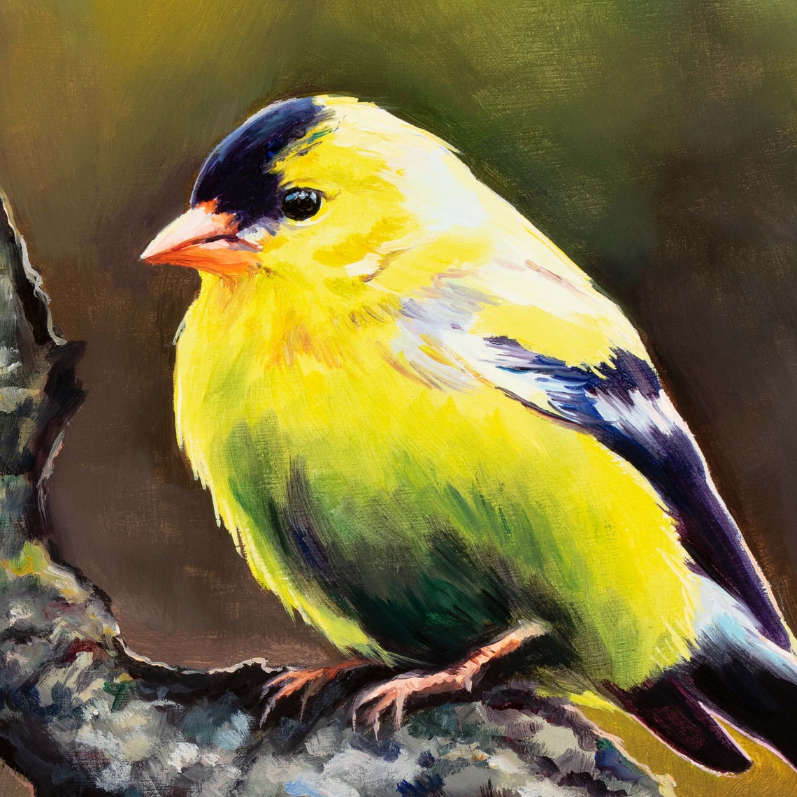 American Goldfinch Perched on a Mossy Branch in Yellow Plumage Poster - Image 4
