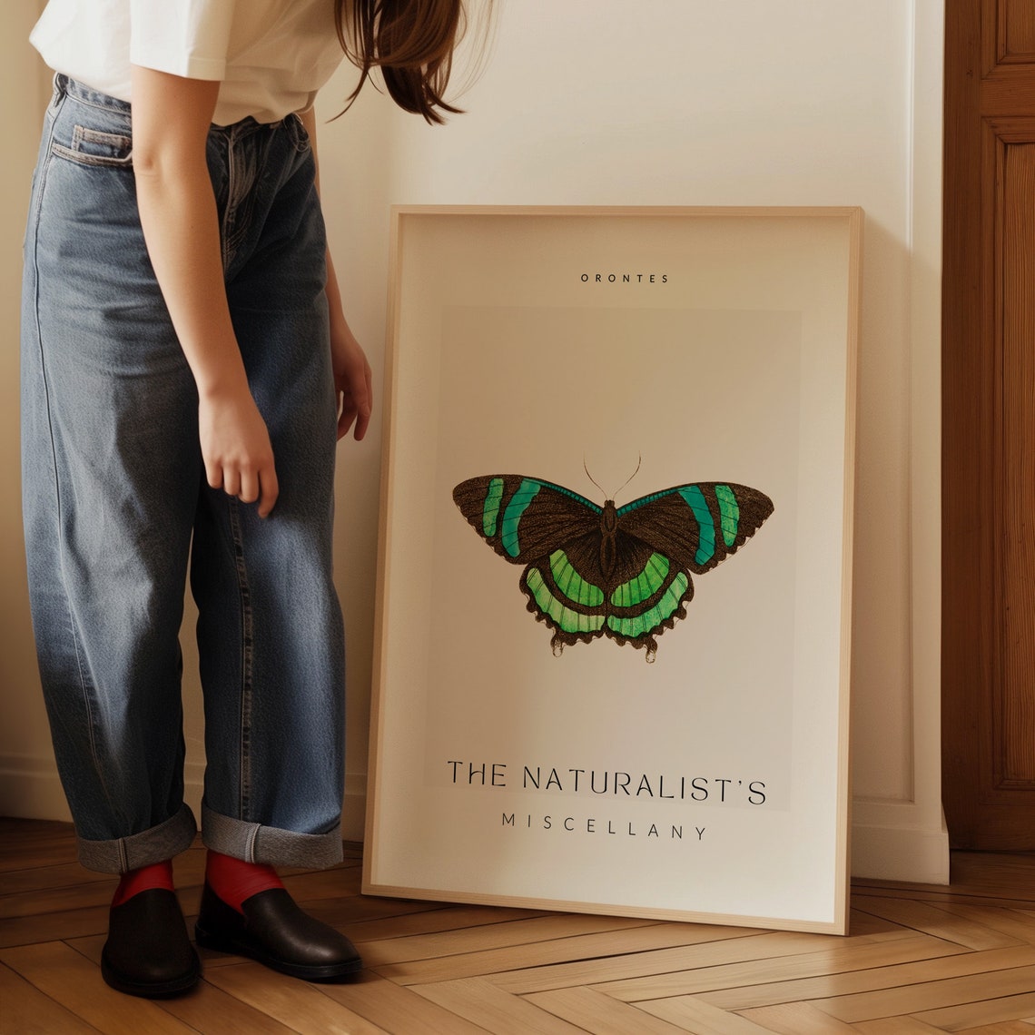 Orontes Green Butterfly Vintage Entomology Natural History Poster - Image 3