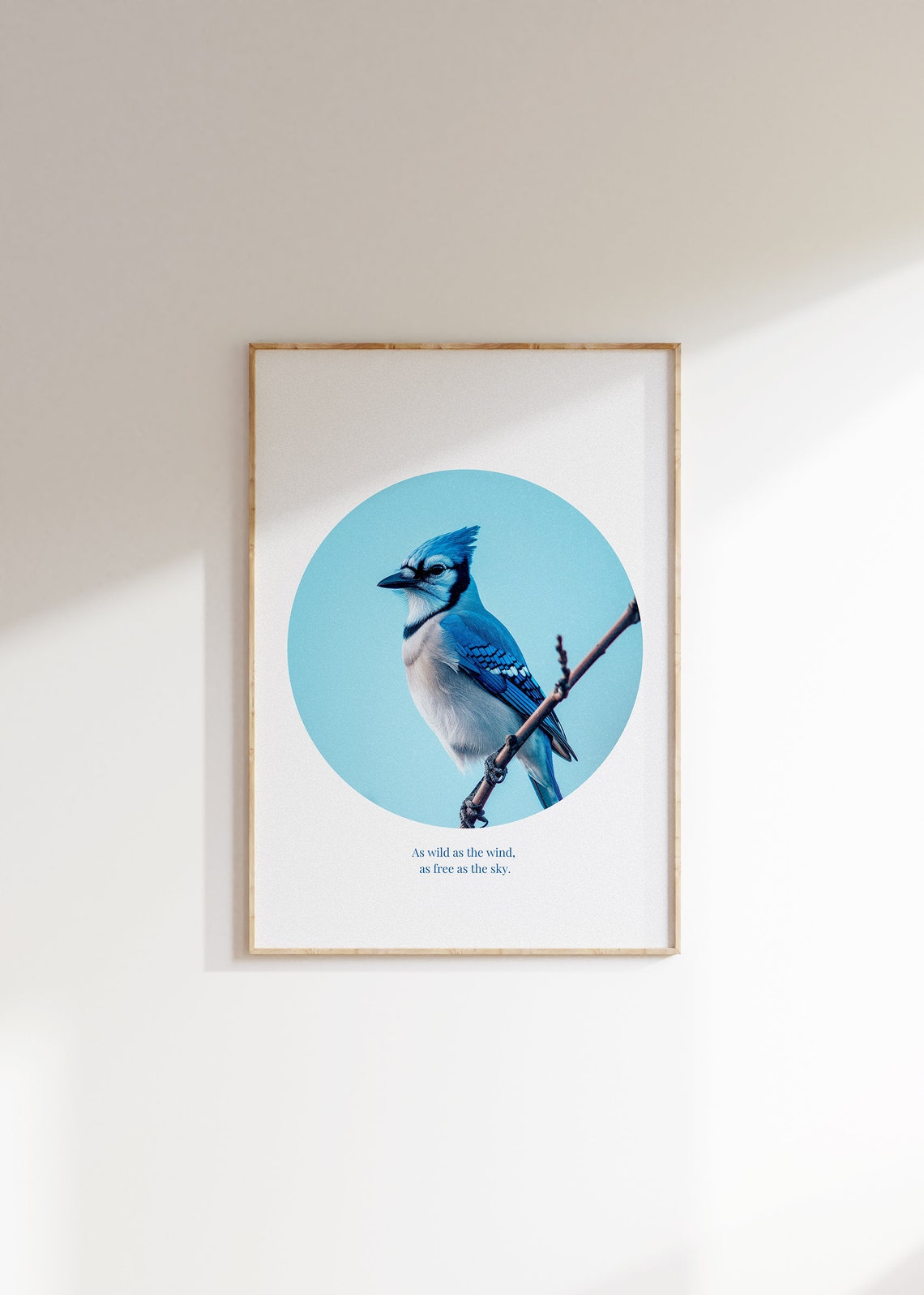 Blue Jay Perched Branch Teal Circle Quote Inspirational Art Poster
