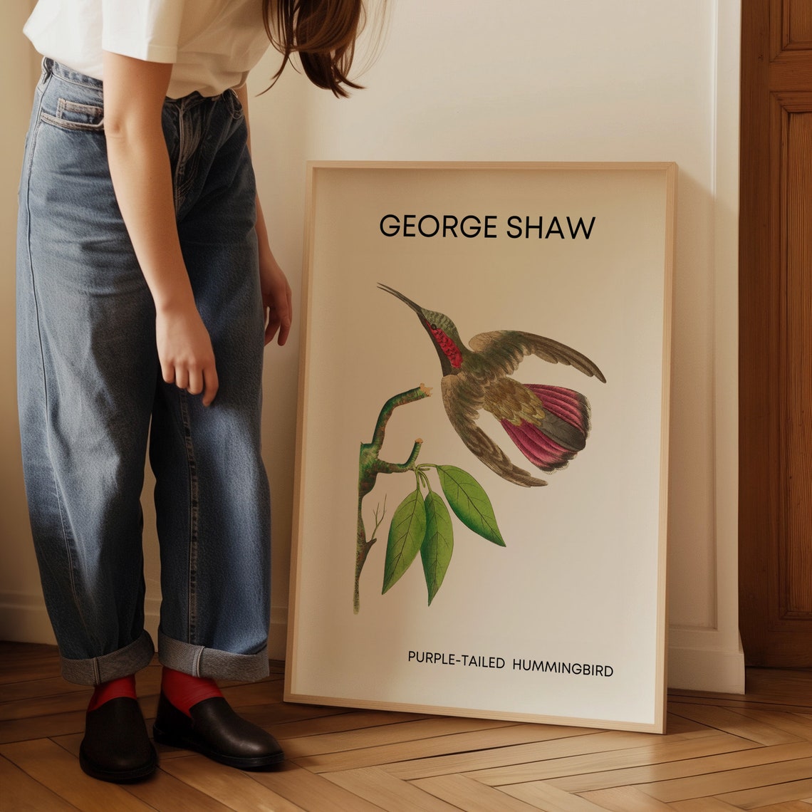 George Shaw Purple-Tailed Hummingbird Vintage Bird Art Poster - Image 3