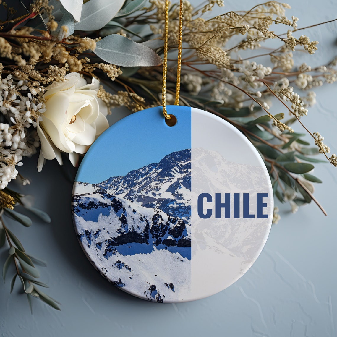 Snowy Chile Andes Mountains Christmas Ornament Souvenir Poster