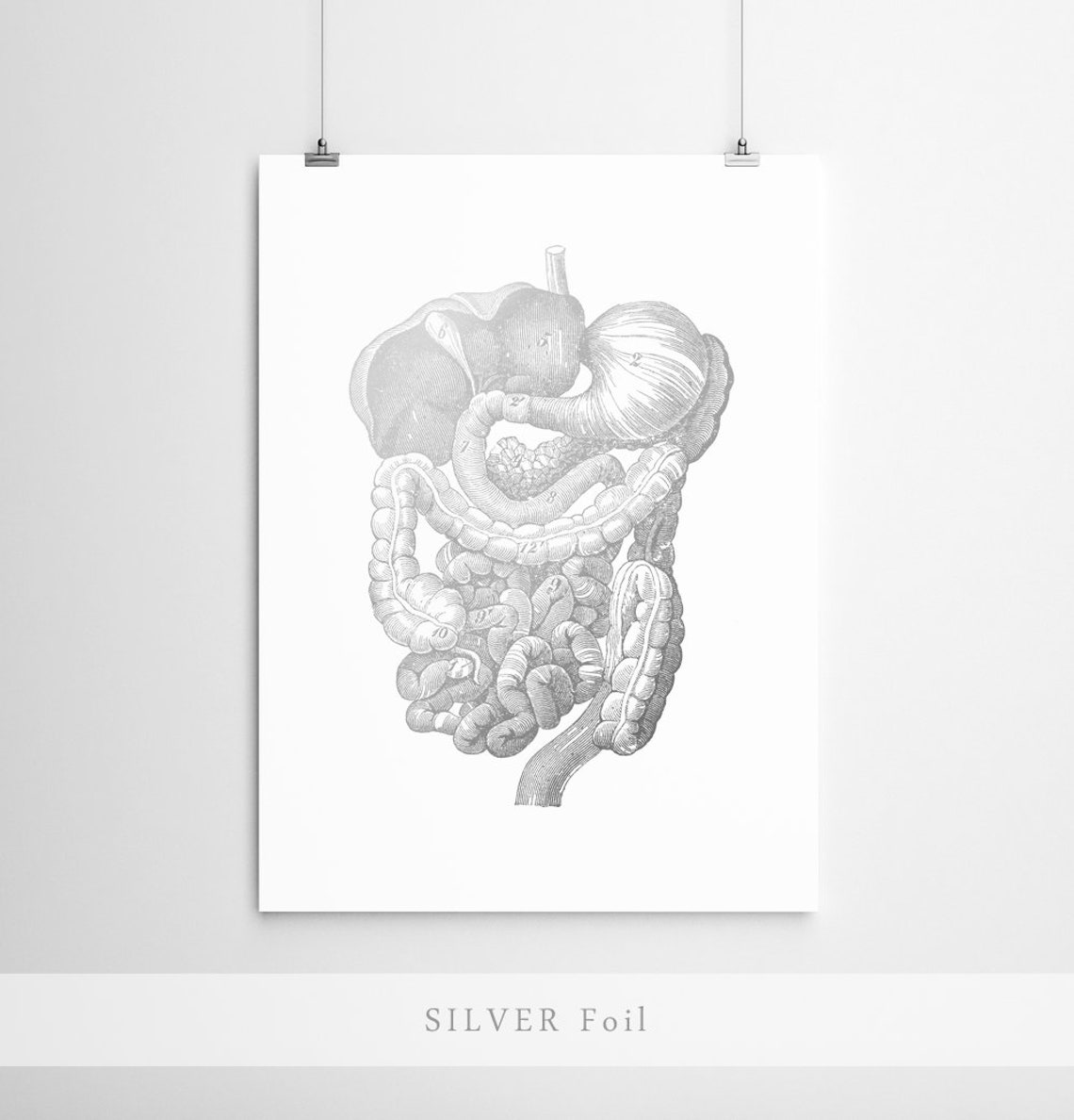 Digestive System Anatomy Gold Foil Vintage Medical Office Wall Art - Image 2
