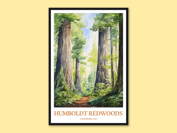 Humboldt Redwoods State Park Poster Travel Print Wall Art