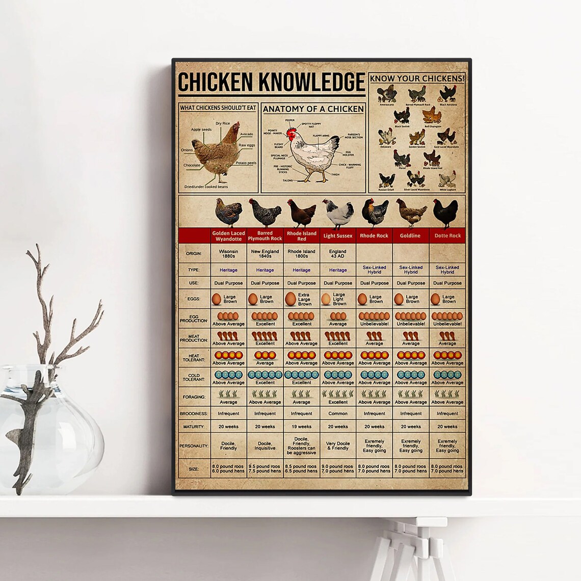 Chicken Knowledge Vintage Breed Chart Anatomy Farmhouse Gift Poster - Image 2