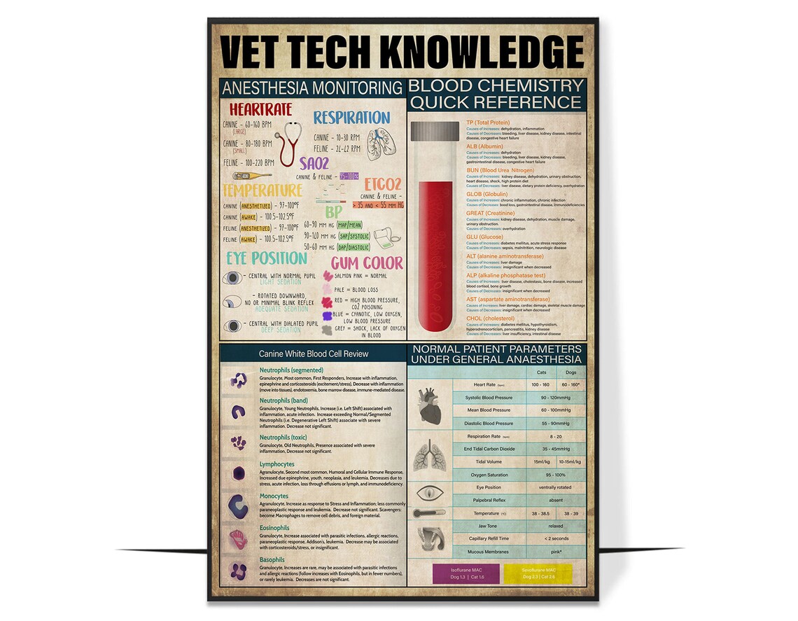 Vettech Knowledge Vintage Poster, Home Decor