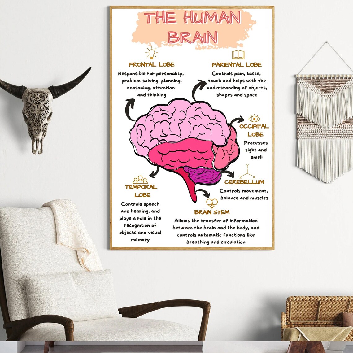 The Human Brain Lobes Functions Colorful Educational Anatomy Poster - Image 4