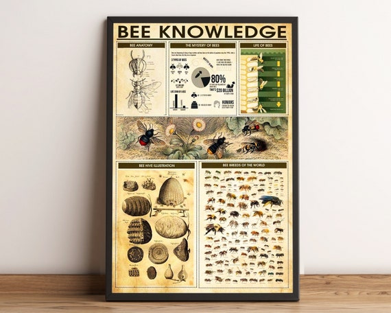 Bee Knowledge Vintage Poster Decor
