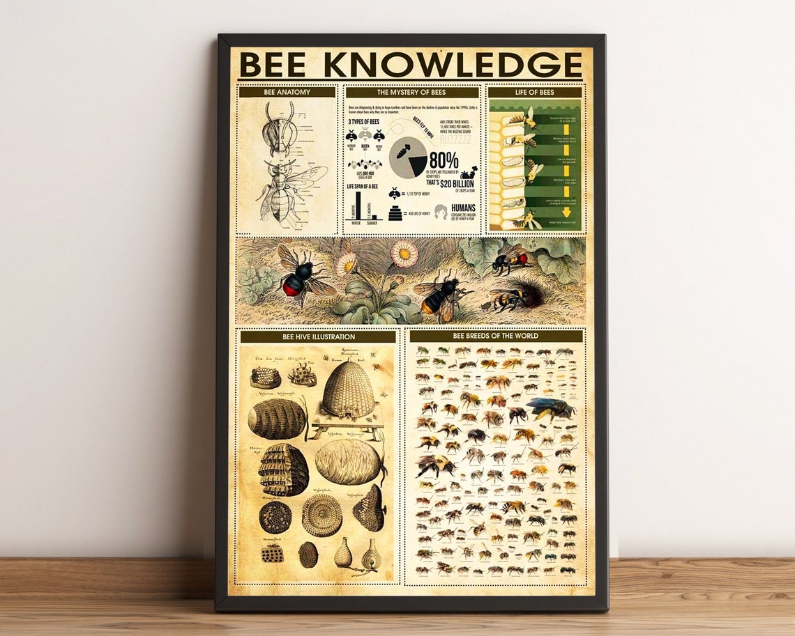 Bee Knowledge Vintage Poster Decor