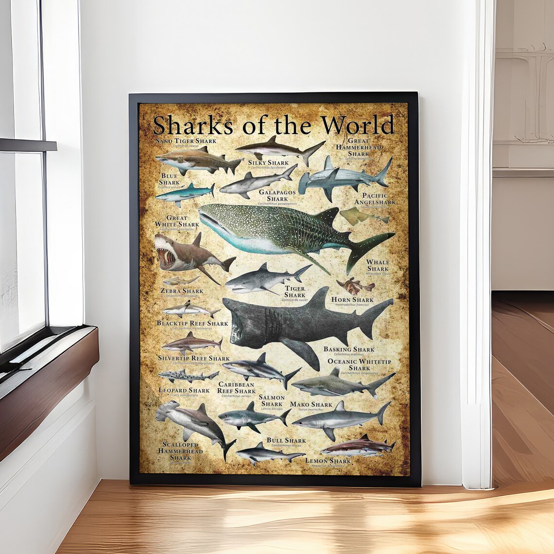 Sharks of the World Retro Illustrated Species Wall Chart Poster - Image 4