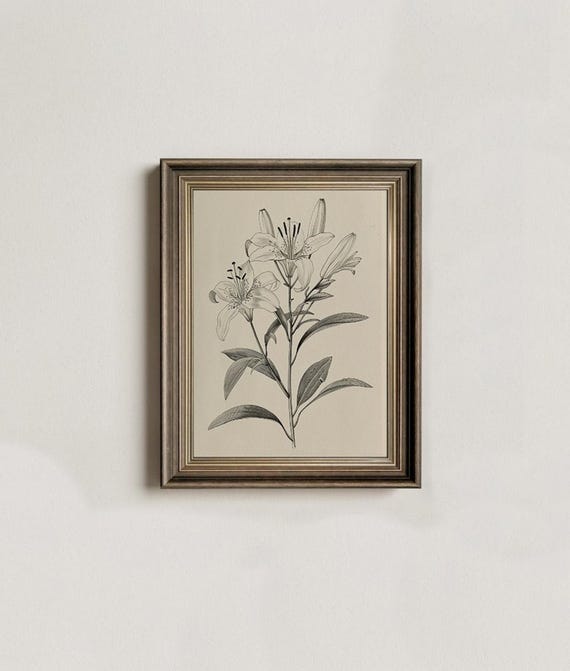 Vintage Botanical Wall Art Set Flower Sketch Prints Floral Gallery Antique Drawings Nature