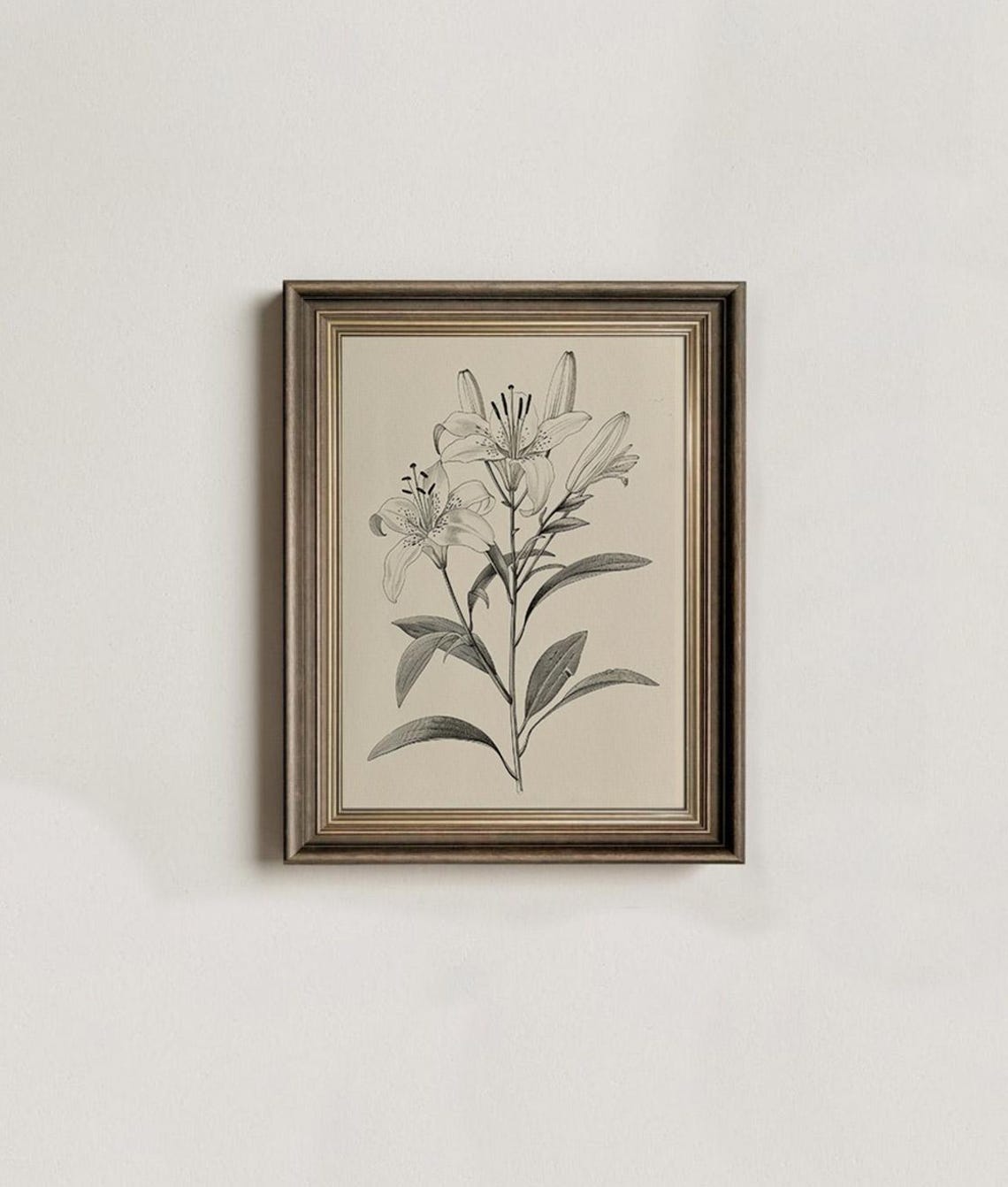 Vintage Lily Botanical Sketch Elegant Flower Pencil Drawing Poster