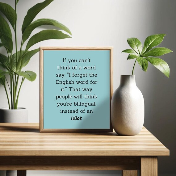 Bilingual Excuse Funny Poster Retro Wall Art Home Decor Humor Wall Hanging