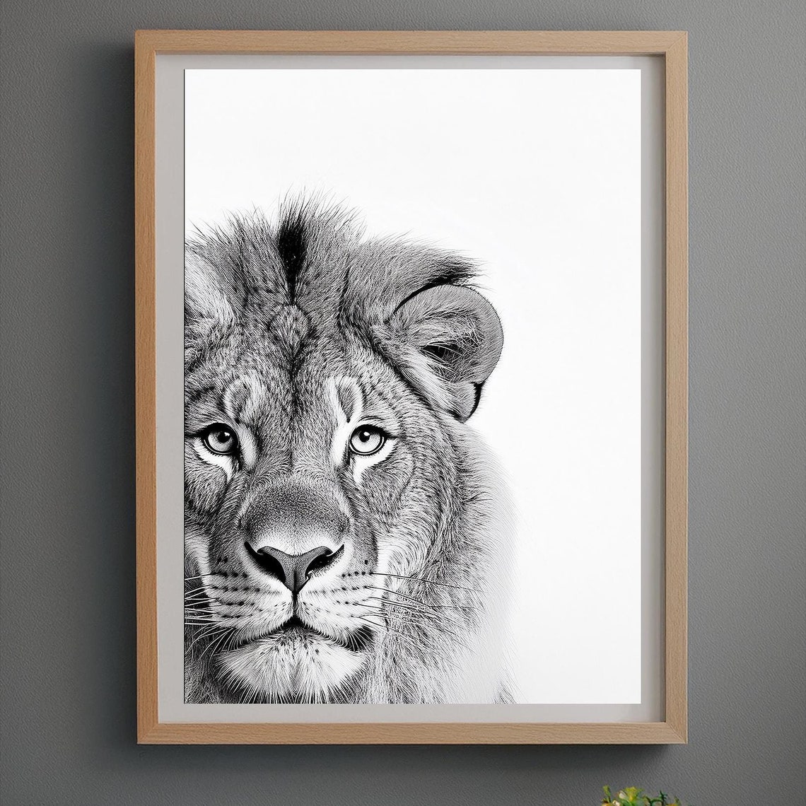 Peeking Lion Close-Up Black and White Big Cat Photography Poster