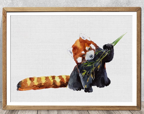 Red Panda Watercolor Art Print, Nursery Decor