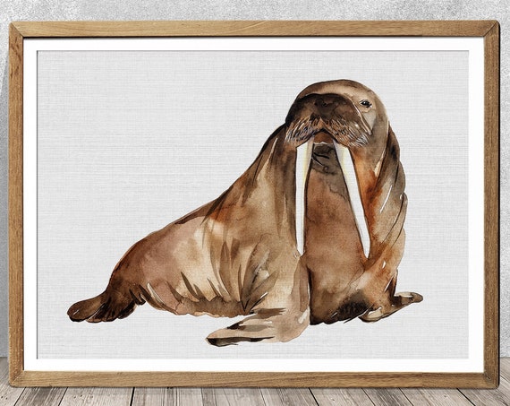 Walrus Watercolor Art Print, Ocean Animal Decor
