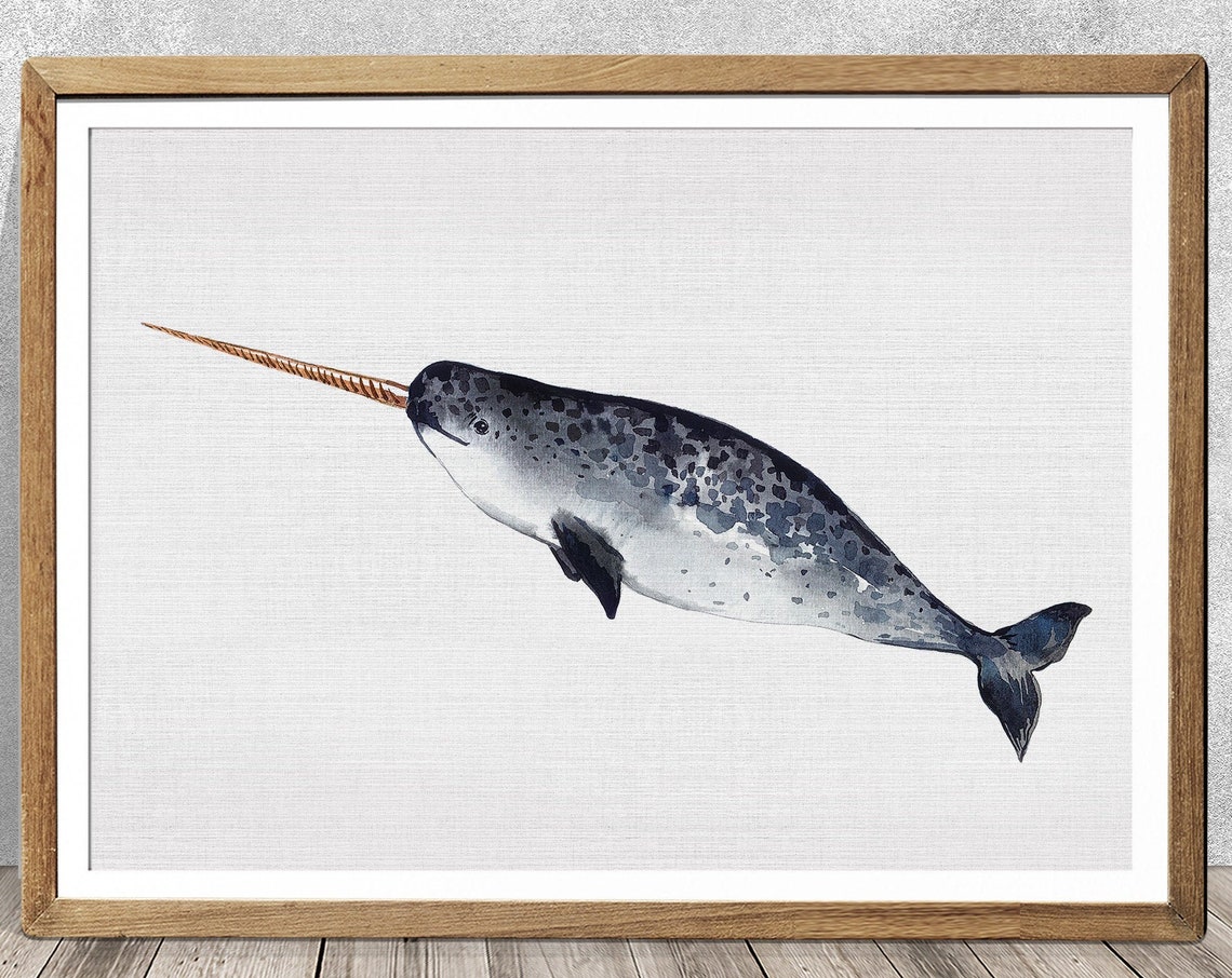 Unicorn Of The Sea Narwhal Art Print, Nursery Decor