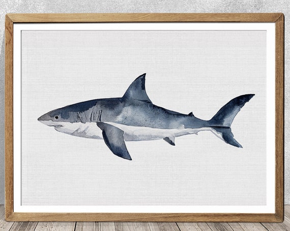 Great White Shark Nursery Decor Art Print