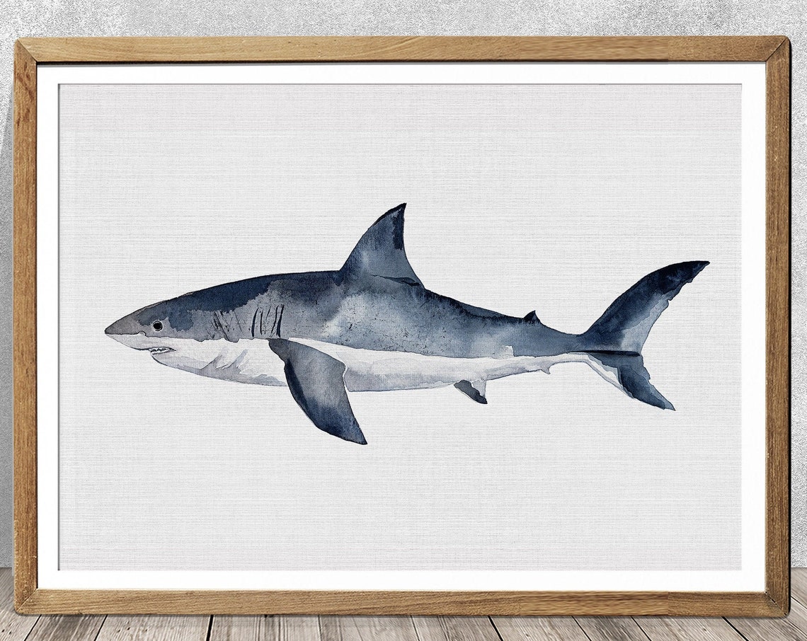 Great White Shark Nursery Decor Art Print