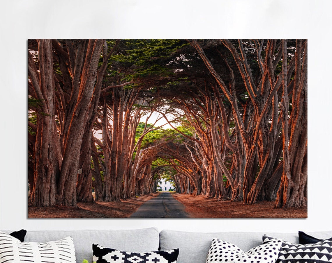 Ancient Cypress Tree Tunnel Over Winding Road Forest Landscape Poster