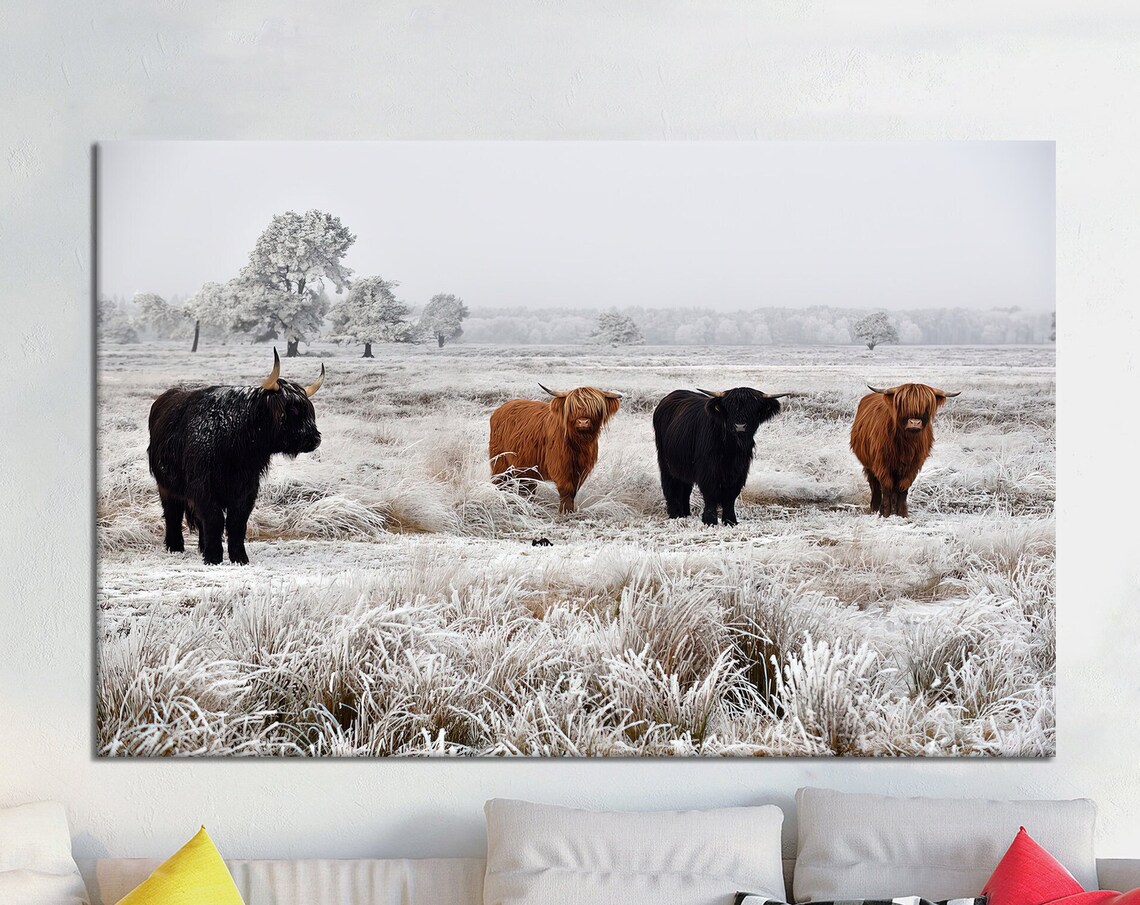 Highland Cows in Frosty Winter Field Snowy Farm Landscape Poster