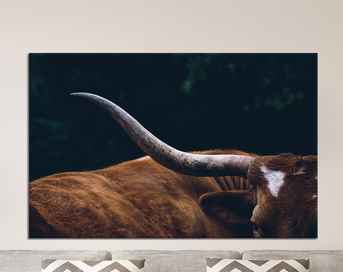 Texas Longhorn Horn Close-Up Dark Western Ranch Cattle Poster