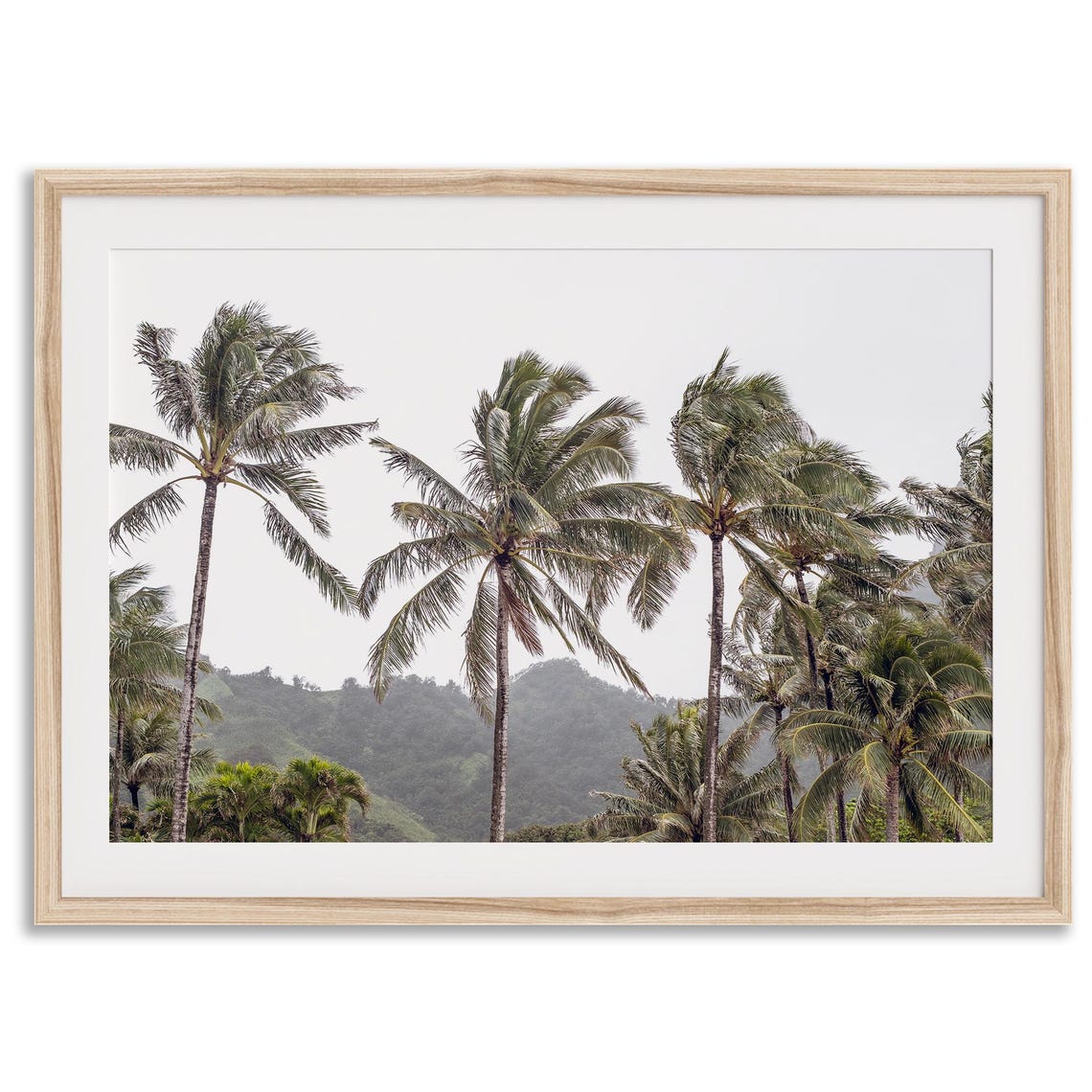 Hawaii Tropical Coconut Palm Trees Green Mountain Landscape Poster