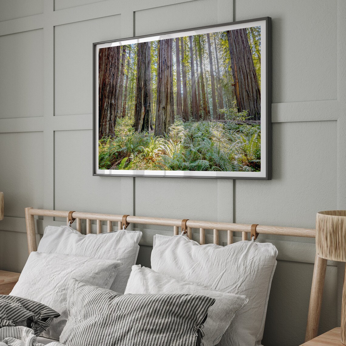 California Forest Photography Art Print, Trees and Woods - Image 3