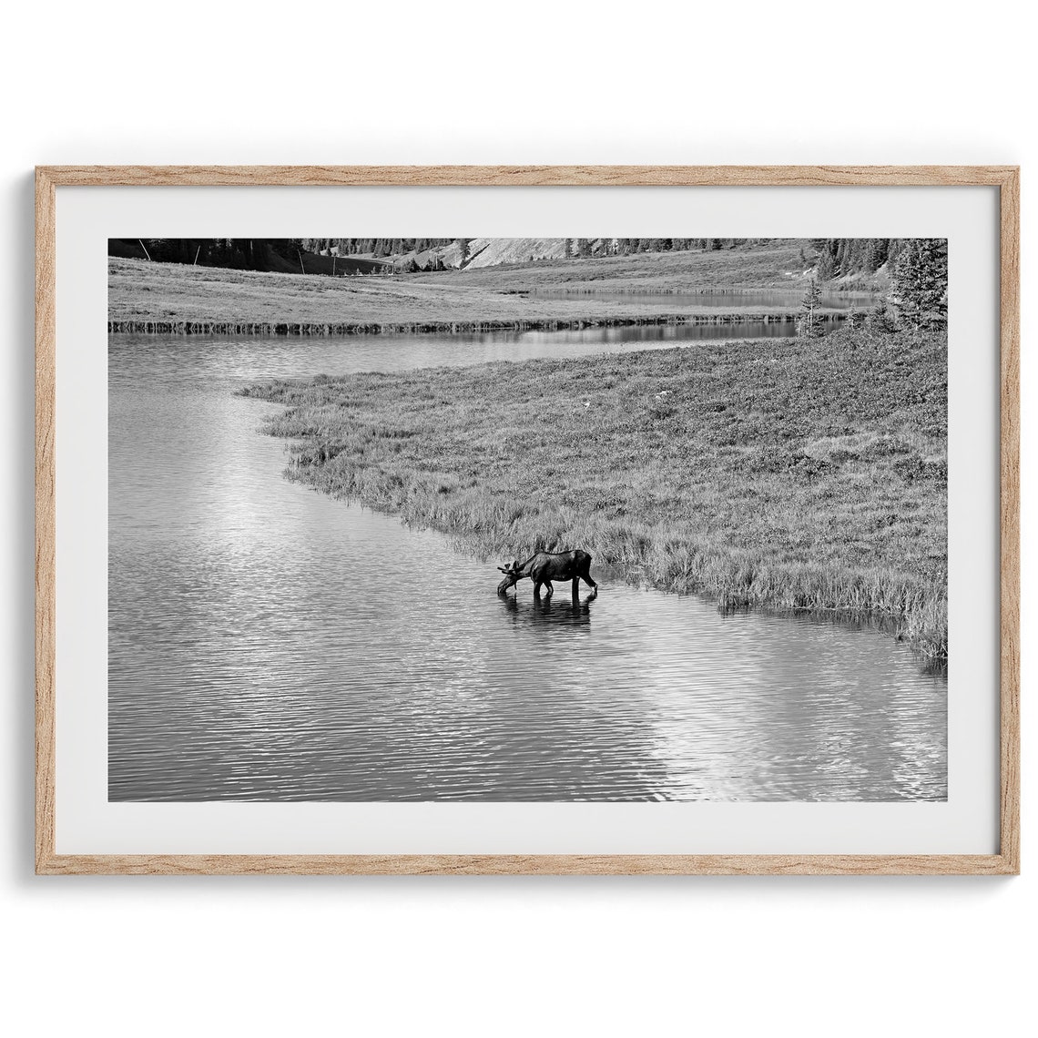 Black And White Moose River Mountain Meadow Minimalist Wildlife Poster