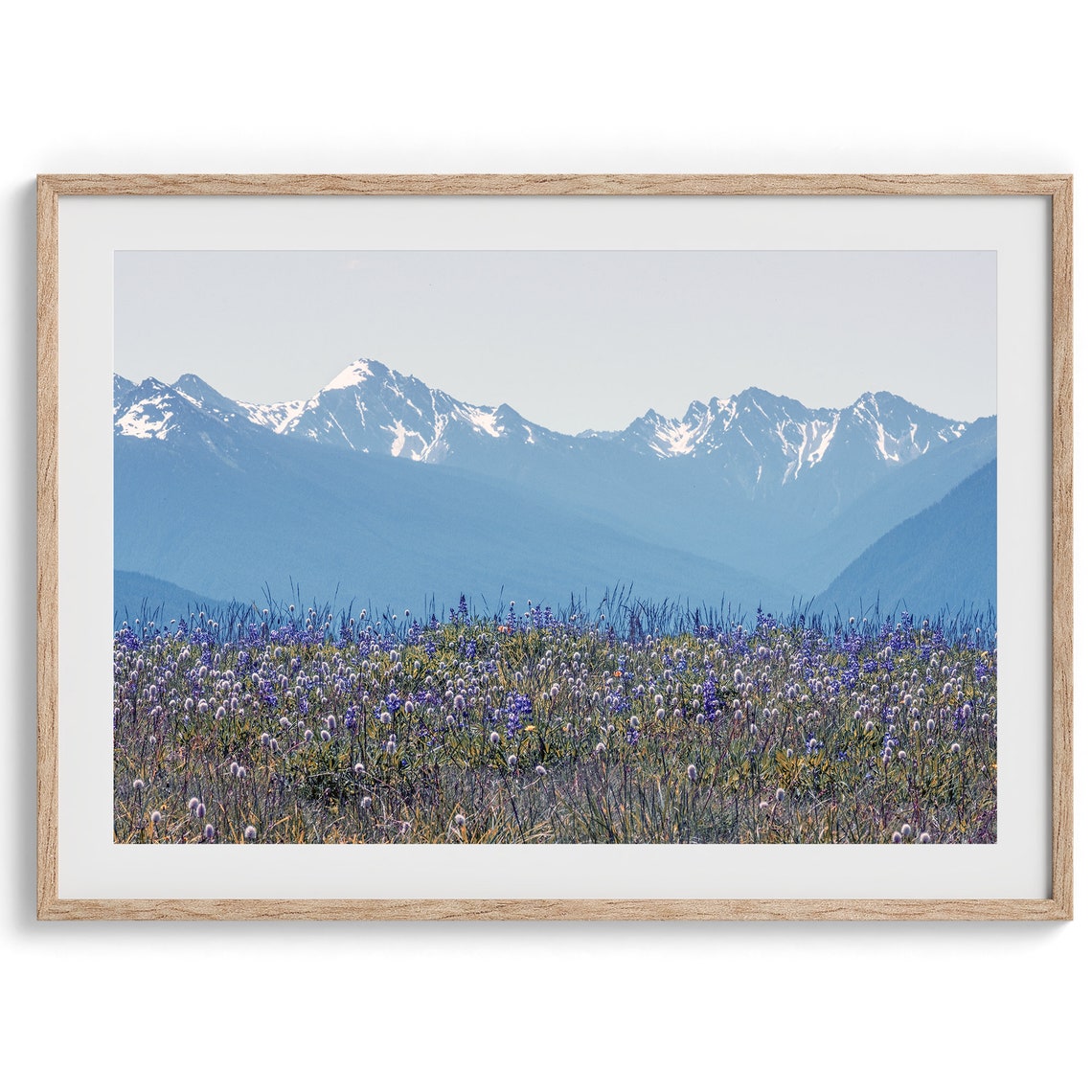 Washington Wildflower Meadow Purple Blooms Snowy Mountain Range Poster