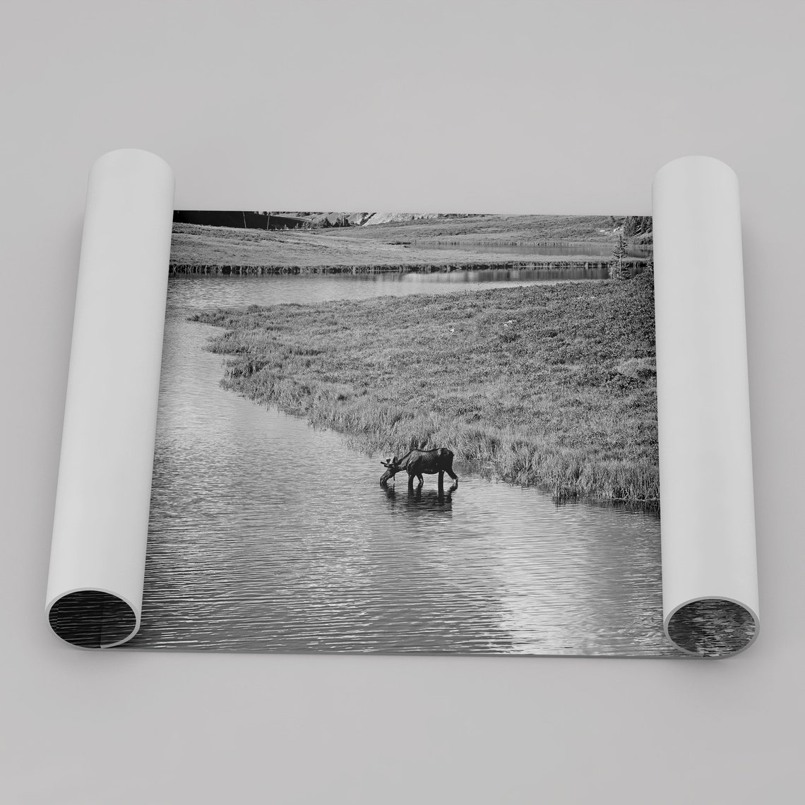 Black And White Moose River Mountain Meadow Minimalist Wildlife Poster - Image 3