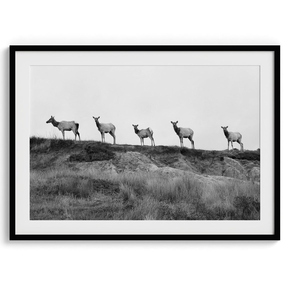 Elk Herd Foggy Meadow Minimalist Black And White Wildlife Poster
