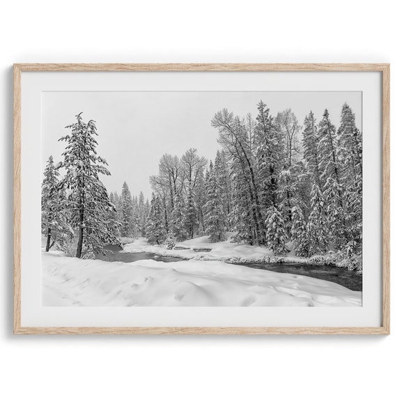 Snowy Forest Black And White Nature Art Print