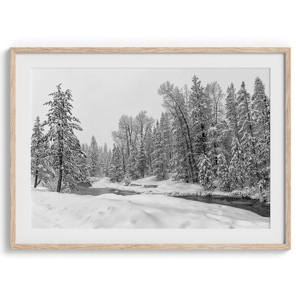 Snowy Forest Black And White Nature Art Print