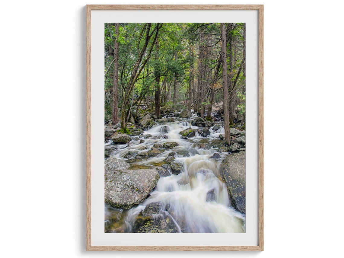 Forest Waterfall Stream Mossy Rocks Evergreen Trees Nature Poster