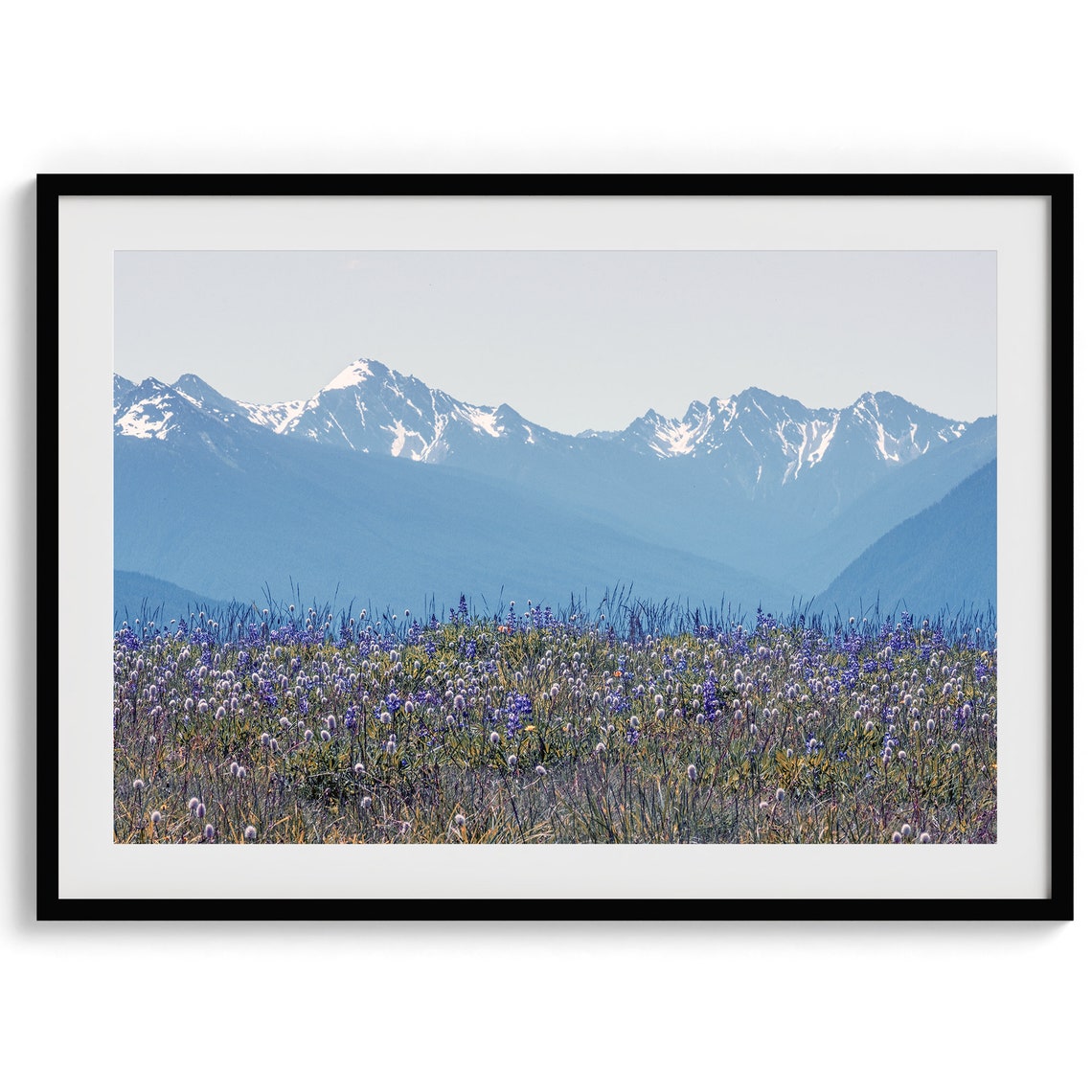 Washington Wildflower Meadow Purple Blooms Snowy Mountain Range Poster - Image 2