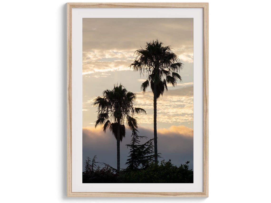 Two Palm Trees Silhouetted Against Golden Sunset Sky Coastal Wall Art