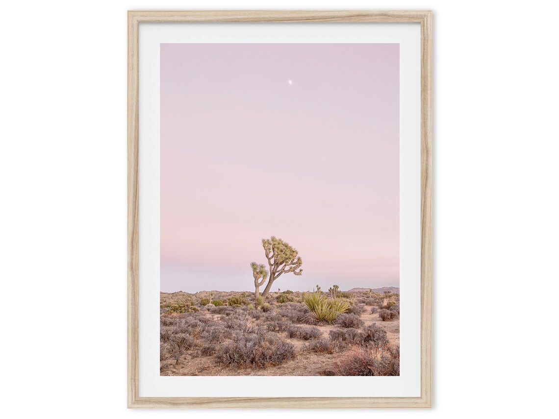 Joshua Tree Pink Sunset Travel Poster, California