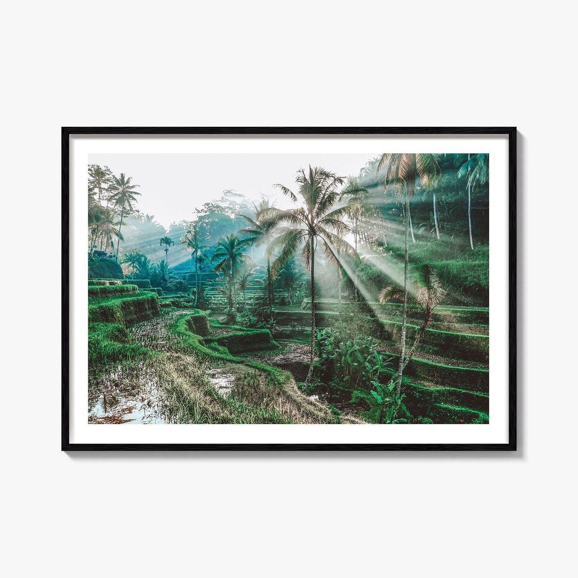 Bali Rice Terraces Palm Jungle Morning Light Tropical Island Poster