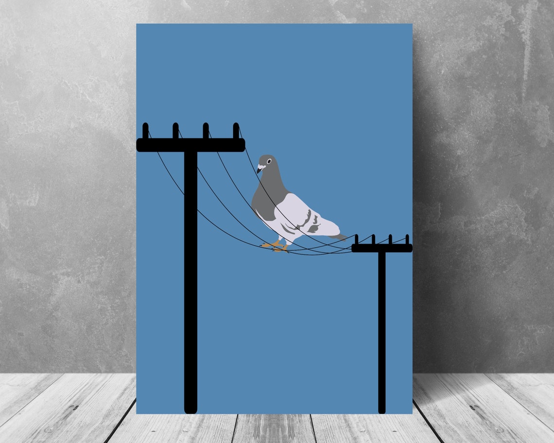 Pigeon Resting on Telephone Wires Against a Calm Blue Sky Poster - Image 3