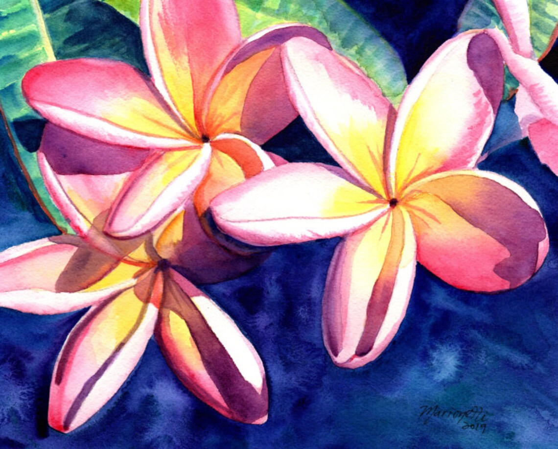 Plumeria Watercolor Art Print, Kauai Tropical Flower
