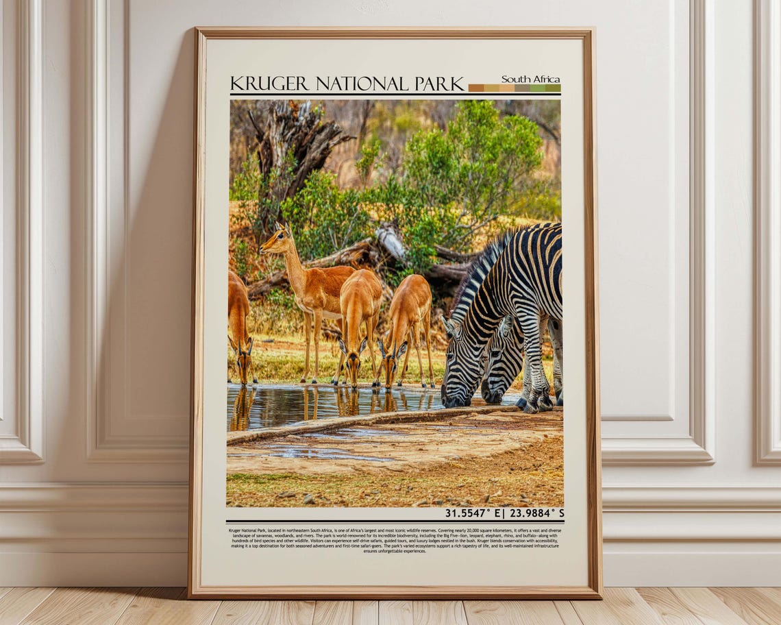 Kruger National Park South Africa Zebra and Impala Safari Poster