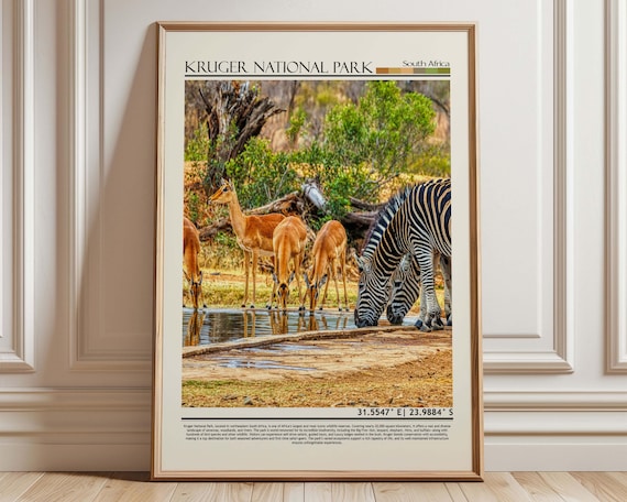 Kruger National Park South Africa Zebra and Impala Safari Poster